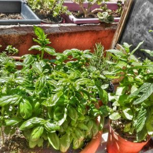 Casa Di Riposo Anziani Palermo