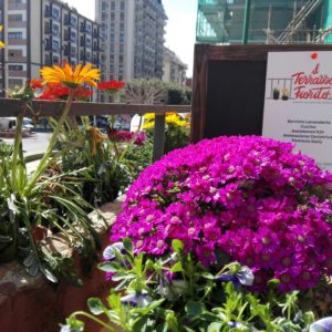 Casa Di Riposo Il Terrazzo Fiorito